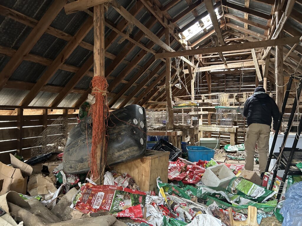 Walking through barn for estimate and observation