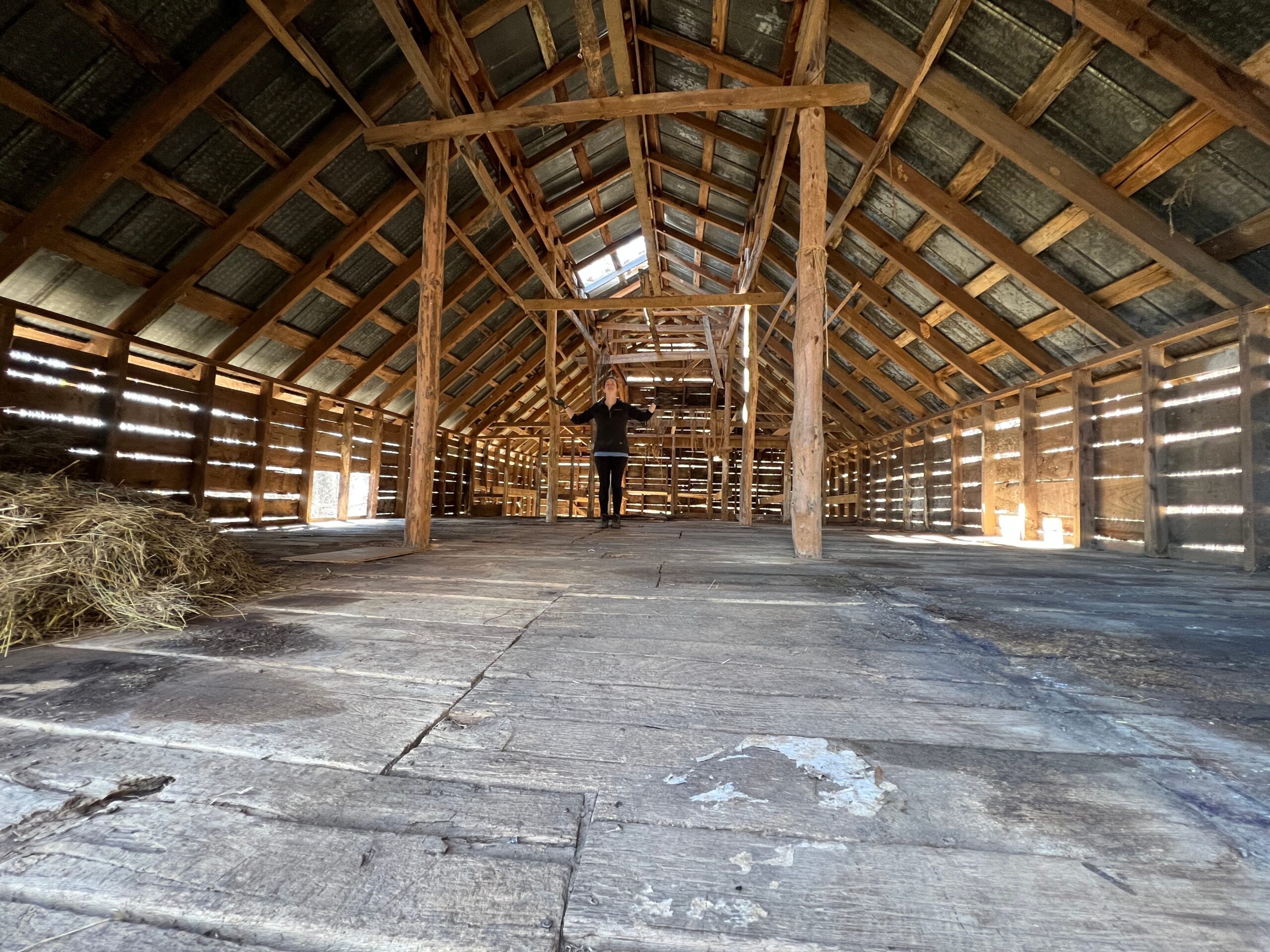 barn cleanout Western North Carolina completed job